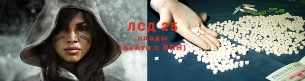ешки Алзамай
