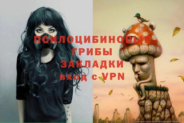 ешки Алзамай